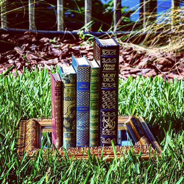 13573356_244313589294644_1155103708_n