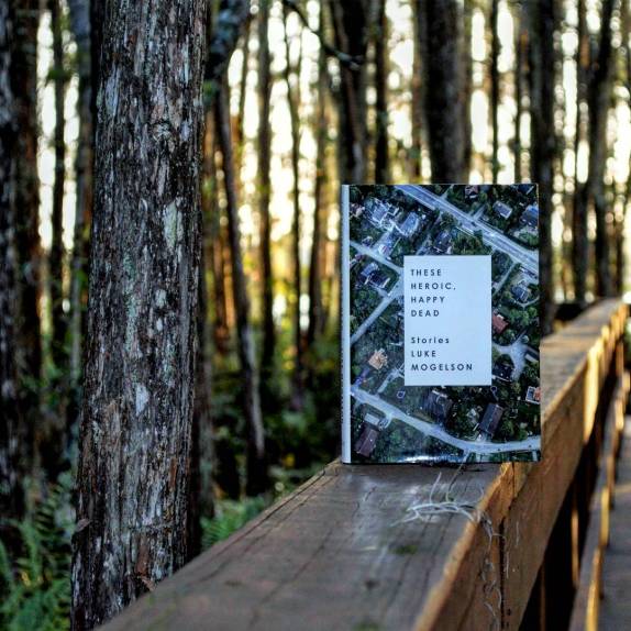 13694366_913298548799700_1704401281_n1