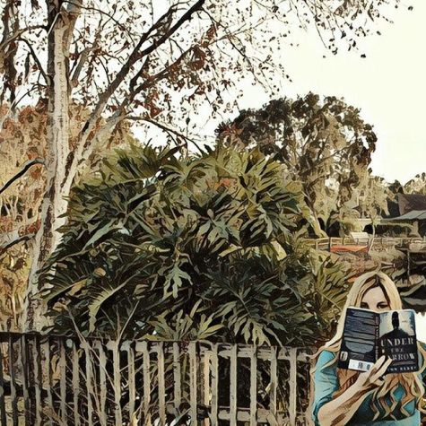 16465786_1793116641013444_6471648067253698560_n